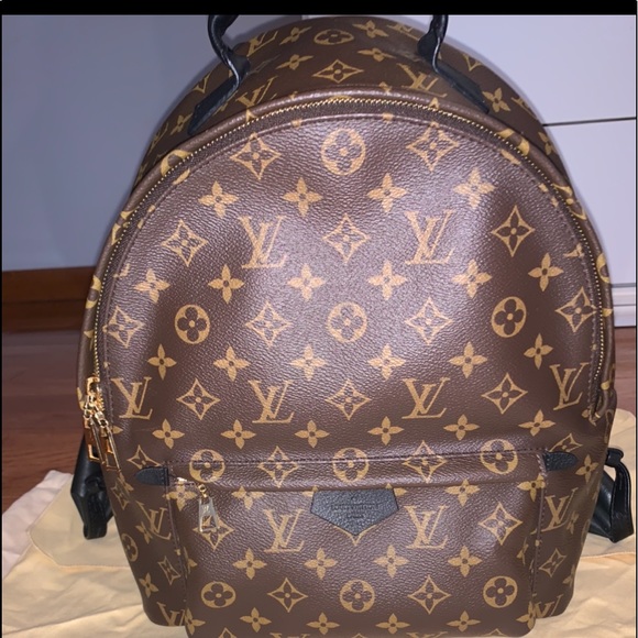 Louis Vuitton Palm Springs Monogram Backpack - Picture 2 of 11